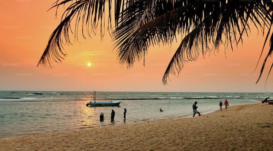 The Best Time to Visit Sri Lanka
