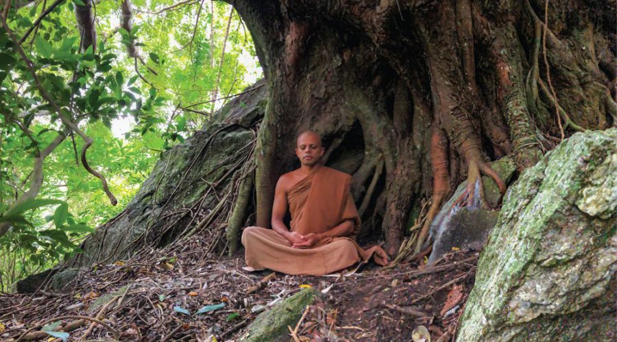 Find Unique Sri Lankan Experiences