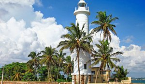 Tour Photo: Coastal Wonders &amp; Wildlife Escapades