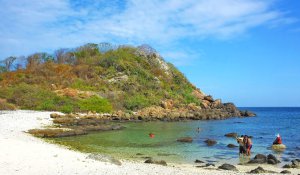 Tour Photo: Surf, Snorkel &amp; Sun on the East Coast