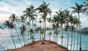 Tour Photo: Southern Beach Escape (5 Nights / 6 Days)