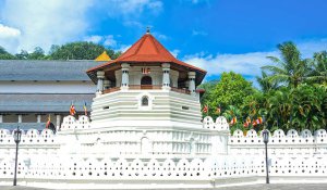 Tour Photo: Hill Country &amp; Tea Trails (4 Nights / 5 Days)