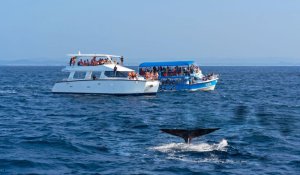 Tour Photo: Historic Coasts &amp; Wildlife Wonders