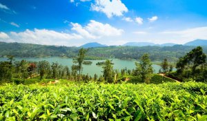 Tour Photo: Thrills of Hills and Rivers