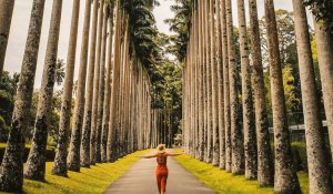 Tour Photo: Family Fun &amp; Cultural Wonders