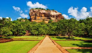 Tour Photo: Ancient Ruins &amp; Elephant Encounters