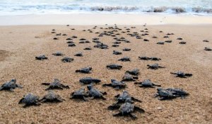 Tour Photo: Southern Beach Escape (5 Nights / 6 Days)