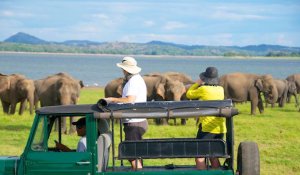 Tour Photo: Ancient Ruins &amp; Elephant Encounters