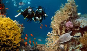 Tour Photo: Island Paradise Tour (4 days)