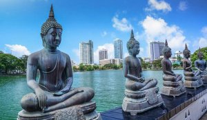 Tour Photo: City Lights &amp; Coastal Delights