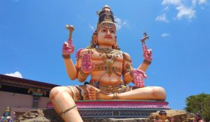 Tour Photo: Surf, Snorkel &amp; Sun on the East Coast