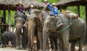 Tour Photo: Chiang Mai Cultural Adventure