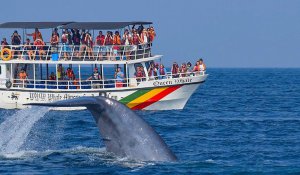 Tour Photo: Family Fun &amp; Cultural Wonders