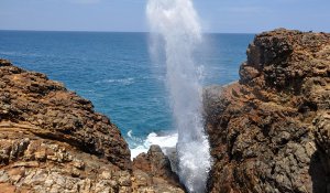 Tour Photo: Historic Coasts &amp; Wildlife Wonders