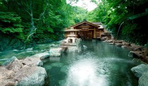 Tour Photo: Hokkaido Snow Festival &amp; Skiing Tour (7 days)